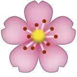 深化行業(yè)認(rèn)知，共謀發(fā)展新篇——中煤蒙大公司特邀孫惠民授課經(jīng)濟(jì)信息咨詢